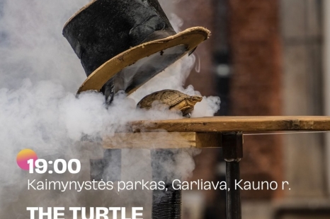 Pieter Post „THE TURTLE“