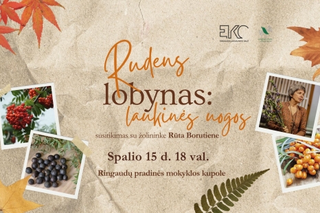 Renginys „Rudens lobynas: laukinės uogos “