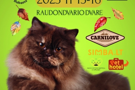 Tarptautinė kačių paroda