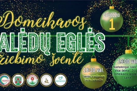 Domeikavos Kalėdų eglutės įžiebimo šventė