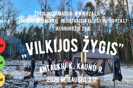 Vilkijos žygis