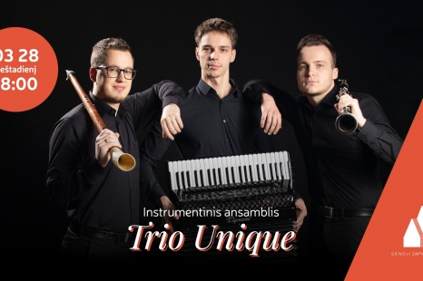 Instrumentinio ansamblio „Trio Unica“ koncertas
