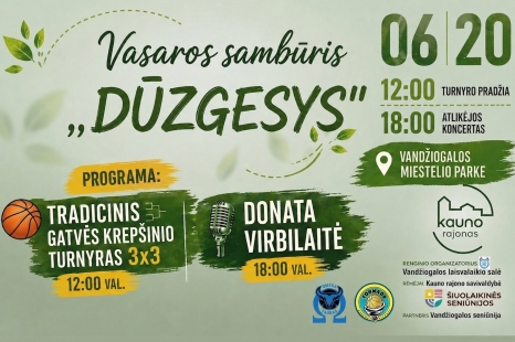 Vasaros sambūris „DŪZGESYS“