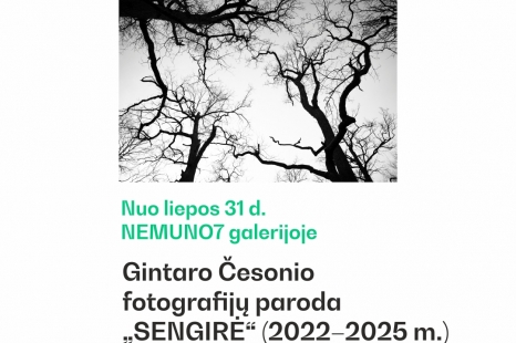 Paroda „SENGIRĖ“ kultūros laive NEMUNO7