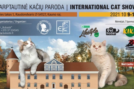 Tarptautinė kačių paroda ,,RED CASTLE CAT”