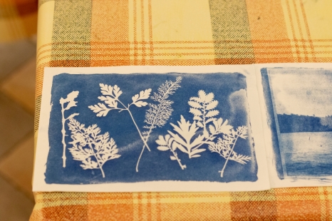 Edukacija „Mėlynas pavasaris: saulės ir žolynų atspaudas“