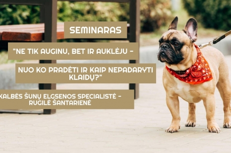 Seminaras apie šunis: "Ne tik auginu, bet ir auklėju - nuo ko pradėti ir kaip nepadaryti klaidų?"