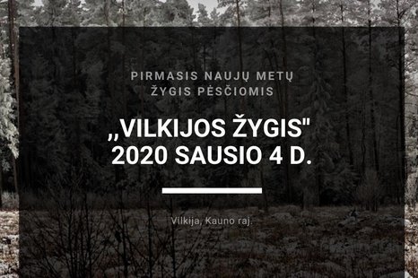 Pirmasis Naujųjų metų žygis pėsčiomis „Vilkijos žygis“