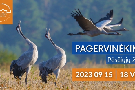 Pėsčiųjų žygis „Pagervinėkime“